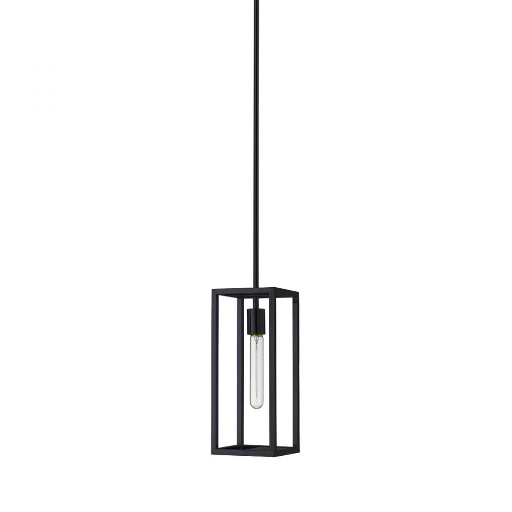 1 Light Pendant